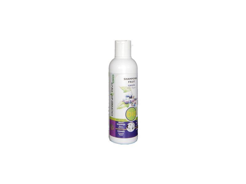 Bio-Shampoo Schwarze Johannisbeere / Cassis